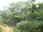 48519CIMG4856.JPG