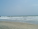 1700411052008(15).JPG