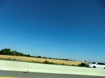 56526CIMG1570.JPG