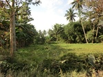 31275CIMG1137.JPG