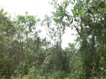 49513CIMG5850.JPG