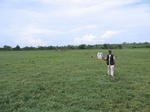 824119-lakebed-grasses-herbs-iucnb.jpg