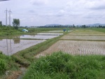 33624RIMG0289.JPG