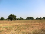 56369CIMG7922.JPG