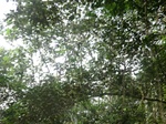 48070CIMG4407.JPG