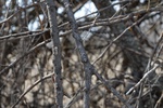 10151Field Survey 1 035.JPG
