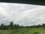 43367CIMG6425.JPG