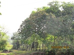 31822IMG_5423.JPG