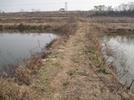 8466IMG_0291.JPG