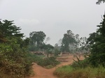 50992CIMG3716.JPG