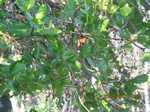 29967IMG_5383.JPG