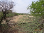 51934Tank ID 1800223 Tippapura 2.JPG
