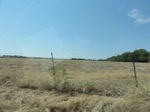 34990DSC01892.JPG