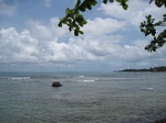 15508IMG_4578.JPG