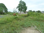 55013Berau (311).JPG