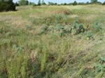 40345ADAX20110706GPS.JPG
