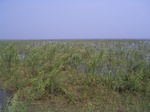 634R0015142.jpg