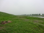 52110CIMG0098.JPG