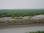 54354DSCN1628.JPG