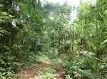 47022CIMG3359.JPG