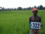 131630323a-irrigated-canal-rice-doublecrop.gif