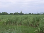 21413RIMG0032.JPG