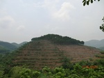 53660CIMG7034.JPG