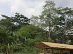 49583CIMG5920.JPG