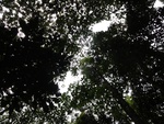 50253DSC02054.JPG