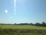 55542IMG_0705.JPG