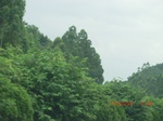 34738CIMG2566.JPG