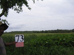 837773-croplant-rice-fallow-e.jpg