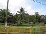 14732IMG_5120.JPG