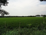 24680DSC00904.JPG
