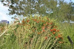 57842IMG_9113.JPG