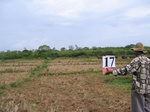 1173717-cropland-rice-irrigateed-sup-iucnb.jpg