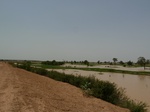 19023P1000867.JPG