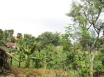 15233IMG_4055.JPG