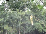 14741IMG_5132.JPG