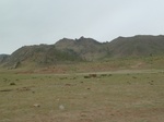 23551P1030426.JPG
