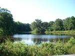 32540p192.jpg