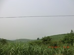 32937CIMG2082.JPG