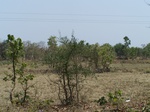 531301052008(2).JPG
