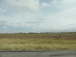 35896DSC02664.JPG