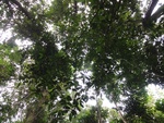 50211DSC02010.JPG