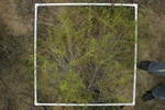 25989center-1-IMG_1339.JPG