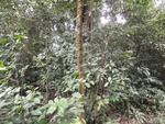 46866DSC02213.JPG