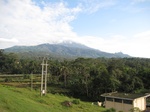 16239IMG_5010.JPG