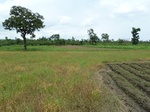 18810P1000649.JPG