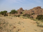 36726CIMG0495.JPG